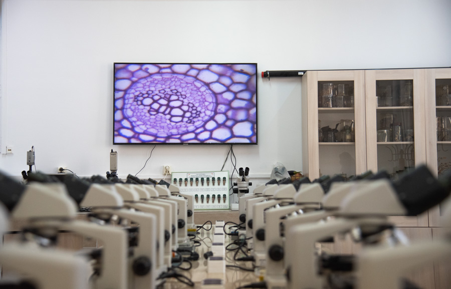 Laboratoarele de Informatică UVT